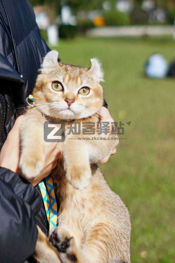 干货：小白入坑摄影必须要知道的知识-7