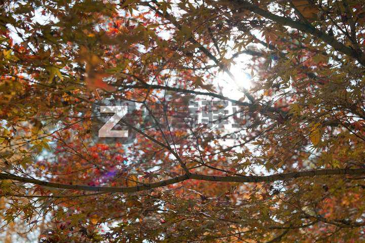 干货：小白入坑摄影必须要知道的知识-8