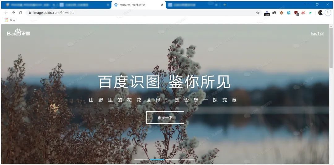 以图搜图怎么来搜？这篇文章教你洞悉怎么来以图搜图的秘诀？-14