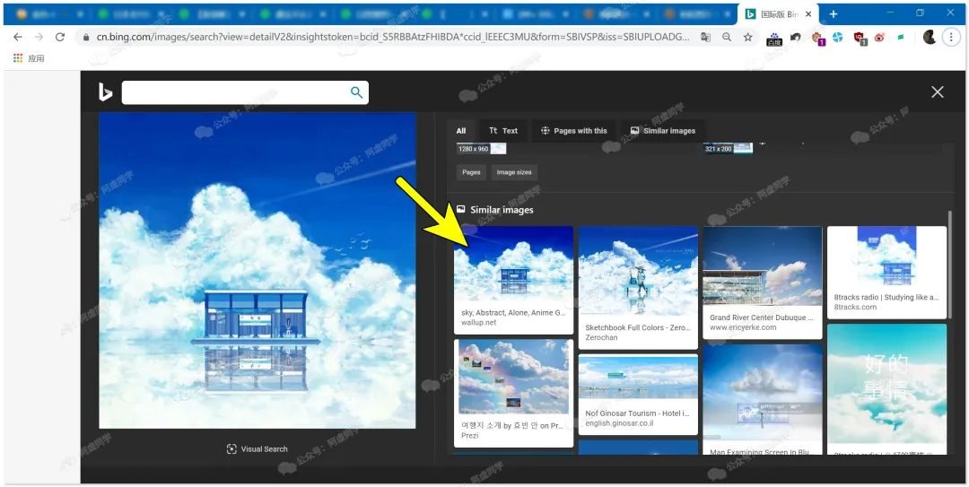 以图搜图怎么来搜？这篇文章教你洞悉怎么来以图搜图的秘诀？-14