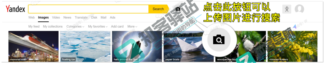 以图搜图怎么来搜？这篇文章教你洞悉怎么来以图搜图的秘诀？-6