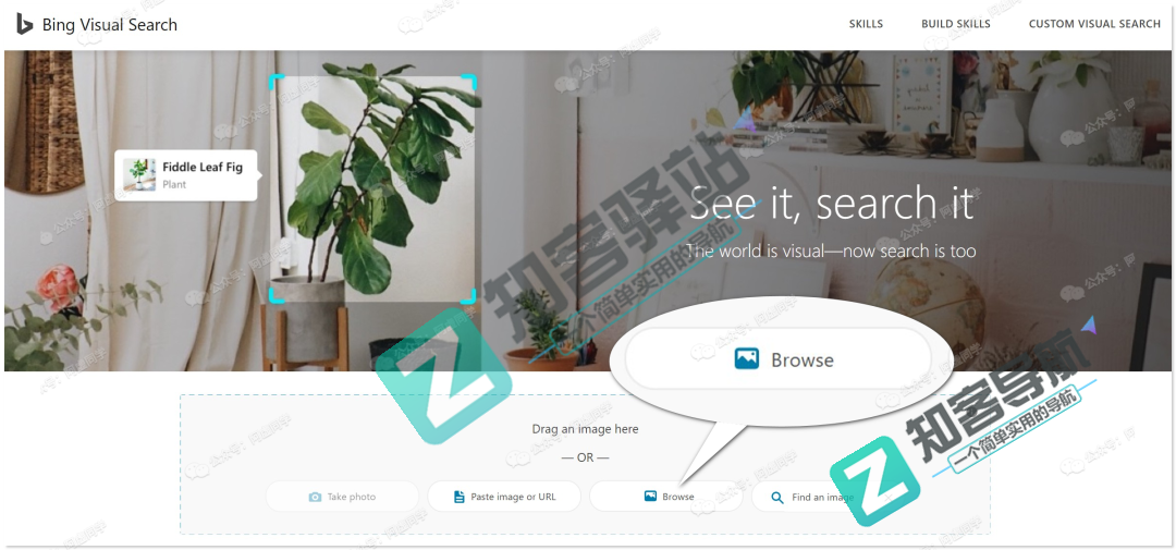 以图搜图怎么来搜？这篇文章教你洞悉怎么来以图搜图的秘诀？-8
