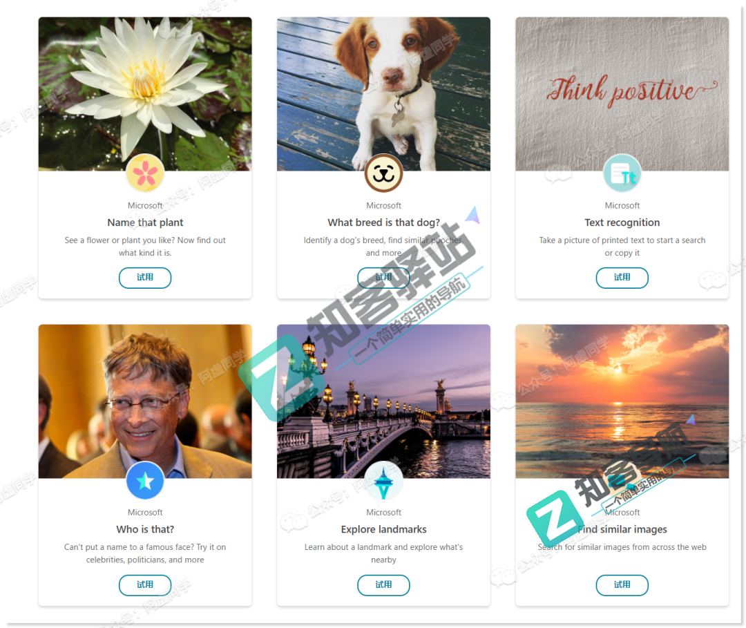 以图搜图怎么来搜？这篇文章教你洞悉怎么来以图搜图的秘诀？-9