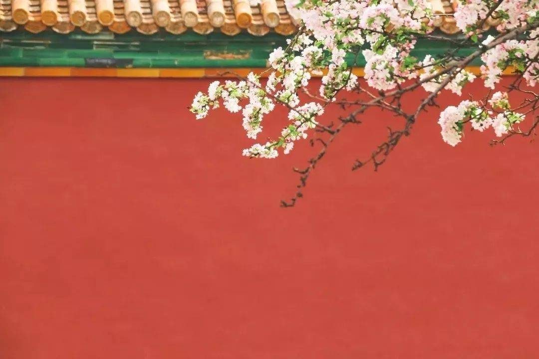 摄影技巧：春天最全拍照攻略，照着拍就行了！-2