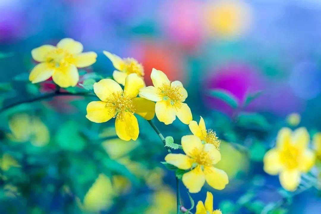 摄影技巧：春天最全拍照攻略，照着拍就行了！-4