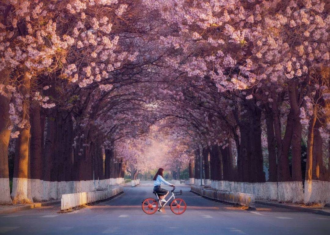 摄影技巧：春天最全拍照攻略，照着拍就行了！-17