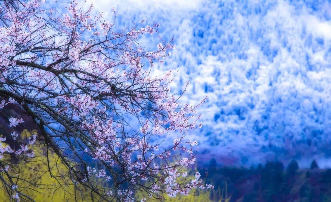 摄影技巧：春天最全拍照攻略，照着拍就行了！-14
