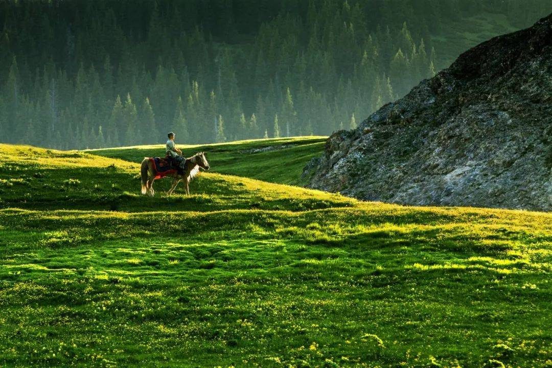 摄影技巧：春天最全拍照攻略，照着拍就行了！-11