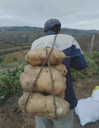 每天一分钟看世界!4月30日,农历 三月三十 星期六,历史上的今天和生活冷知识-2 每天一分钟看世界!4月30日,农历 三月三十 星期六,历史上的今天和生活冷知识-2