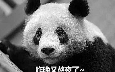 每天一分钟看世界！4月27日，农历 三月二十七 星期三，历史上的今天和生活冷知识-2