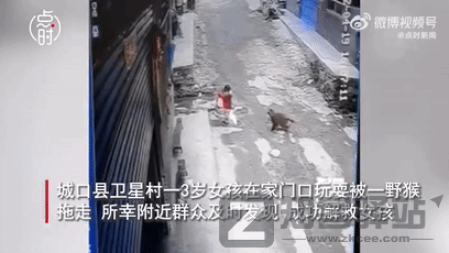 野生猕猴被骂上热搜,“猴”设崩塌,网友:没想到它还有两副面孔