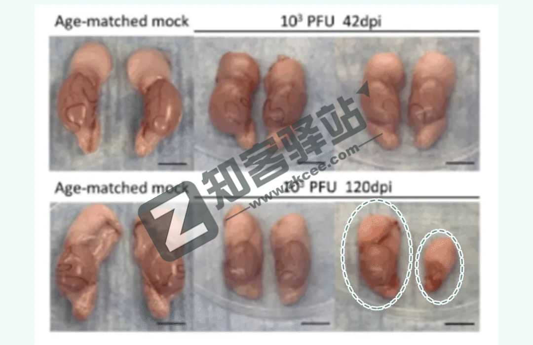 4月5日,农历 三月初五 星期二,在这里每天60秒读懂世界!-1 4月5日,农历 三月初五 星期二,在这里每天60秒读懂世界!-1