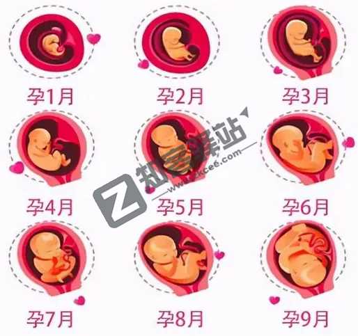 4月5日,农历 三月初五 星期二,在这里每天60秒读懂世界!-3 4月5日,农历 三月初五 星期二,在这里每天60秒读懂世界!-3