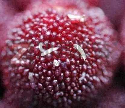 4月14日，农历 三月十四 星期四，每天60秒读懂世界！历史上的今天和生活冷知识-1