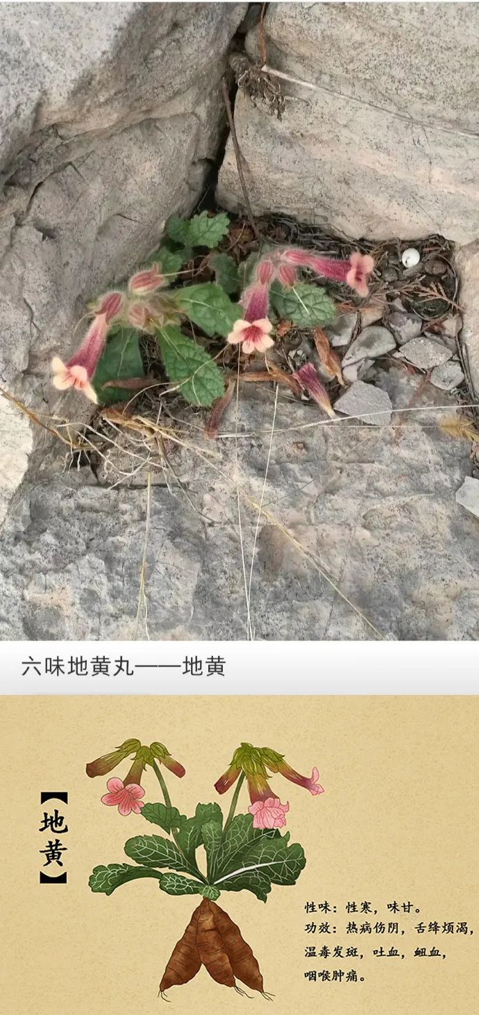 4月12日,农历 三月十二 星期二,每天60秒读懂世界!-2 4月12日,农历 三月十二 星期二,每天60秒读懂世界!-2