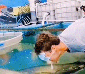 4月8日，农历 三月初八 星期五，每天60秒读懂世界！-1