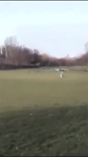 4月8日，农历 三月初八 星期五，每天60秒读懂世界！-2