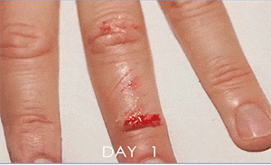 4月9日,农历 三月初九 星期六,每天60秒读懂世界!-1 4月9日,农历 三月初九 星期六,每天60秒读懂世界!-1