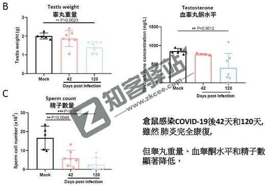 4月5日,农历 三月初五 星期二,在这里每天60秒读懂世界!-2 4月5日,农历 三月初五 星期二,在这里每天60秒读懂世界!-2