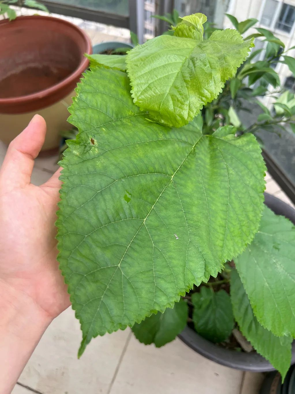 4月27日，农历 三月二十七 星期三，每天一分钟看世界！历史上的今天和生活冷知识-1