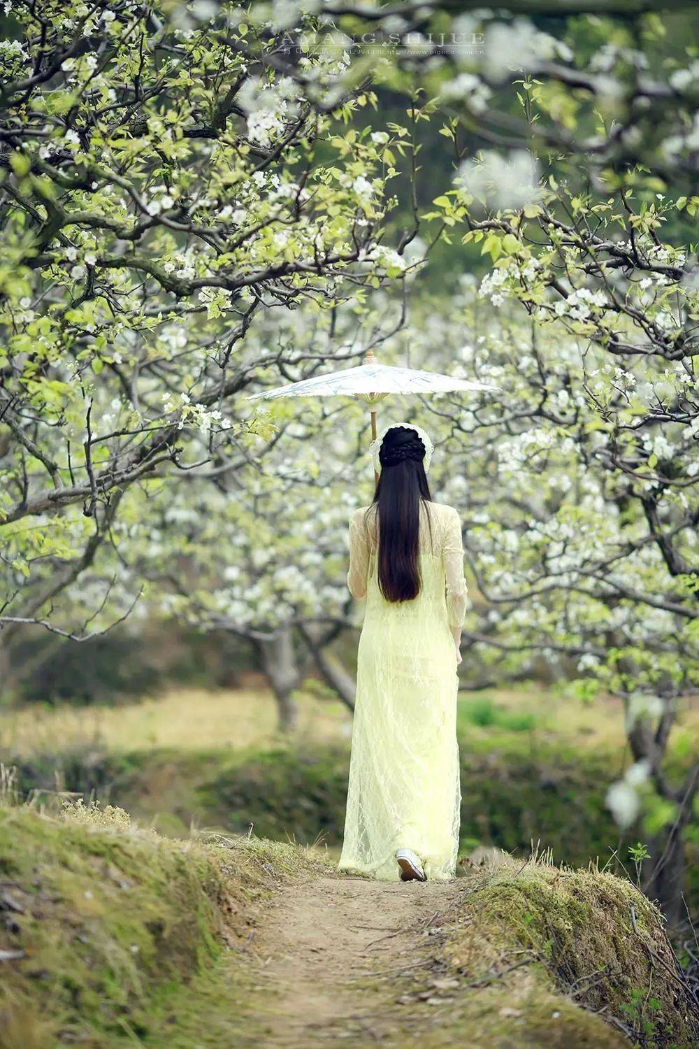 摄影技巧：春天最全拍照攻略，照着拍就行了！-18