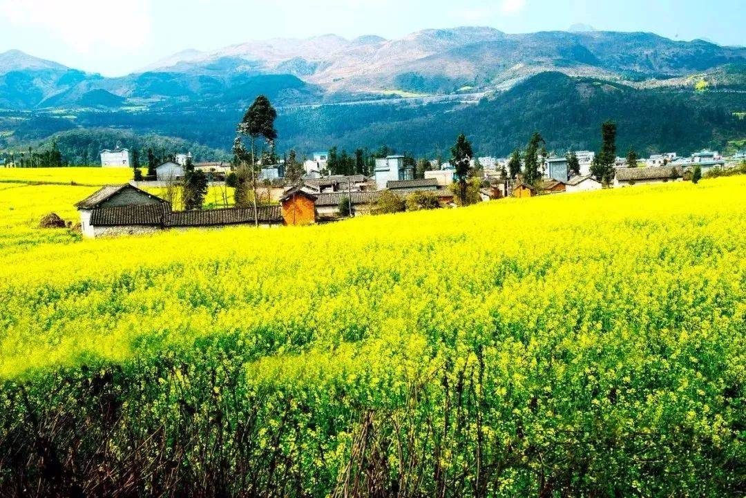 摄影技巧：春天最全拍照攻略，照着拍就行了！-7