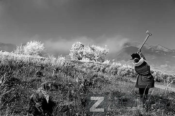 父母尚在苟且，你却在炫耀诗和远方（感动无数人）-6