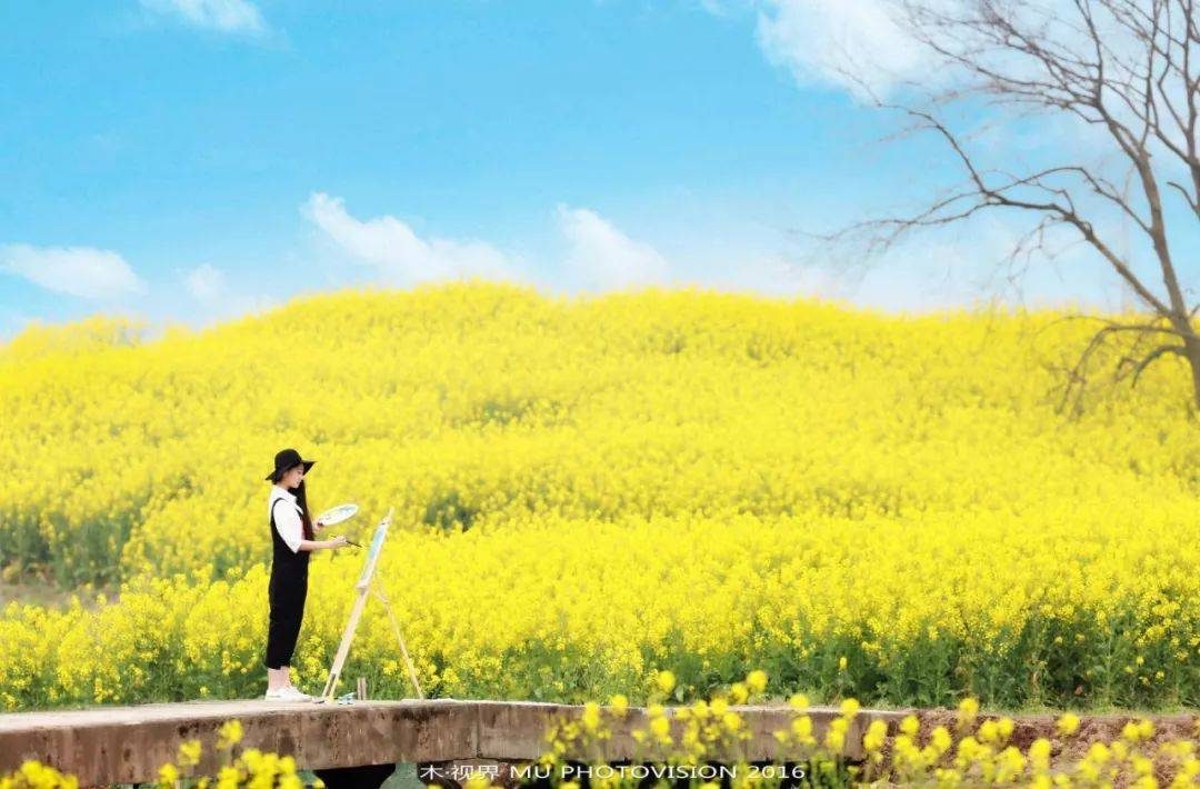 摄影技巧：春天最全拍照攻略，照着拍就行了！-12