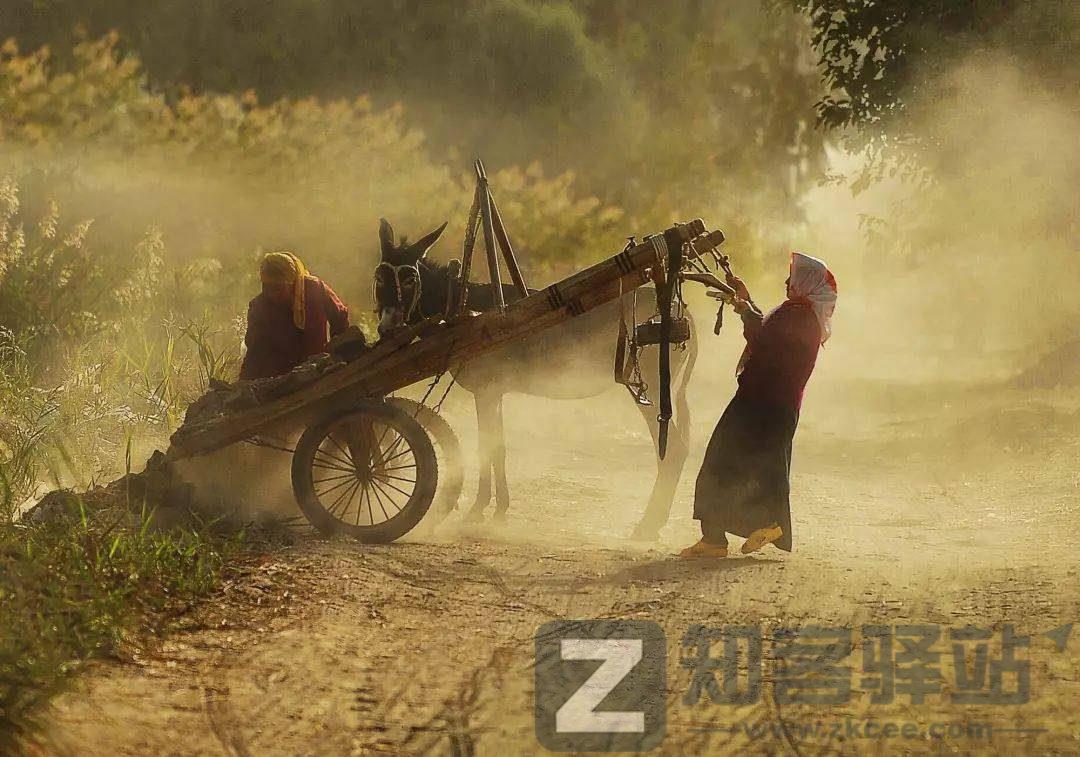 父母尚在苟且，你却在炫耀诗和远方（感动无数人）-3