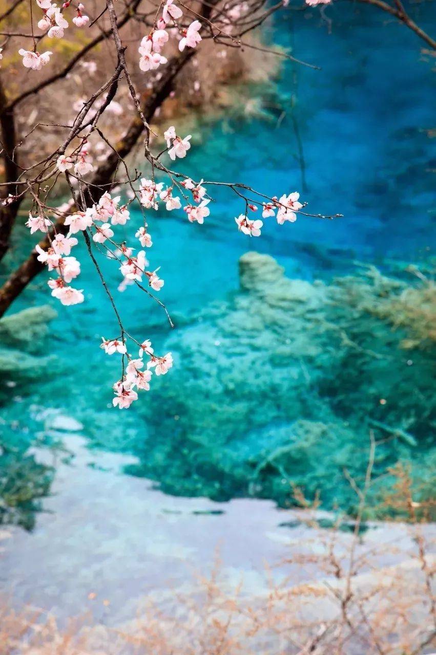 摄影技巧：春天最全拍照攻略，照着拍就行了！-8