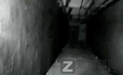 那些恐怖照片背后的故事，现实永远比故事更加荒诞...-6