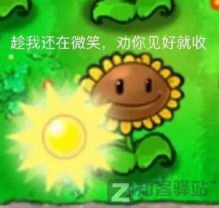 IP属地开放！看片记录也藏不住了？-9