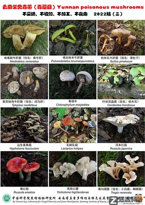 每天一分钟看世界！5月7日，农历 四月初七 星期六，历史上的今天和生活冷知识-3