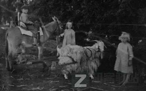 那些恐怖照片背后的故事，现实永远比故事更加荒诞...-7