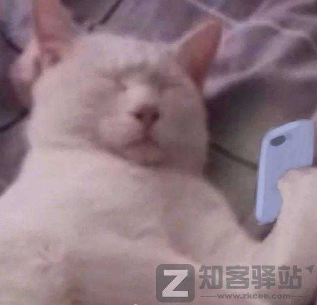 美女扮狗癖,年入600万,太恶臭了!-10 美女扮狗癖,年入600万,太恶臭了!-10