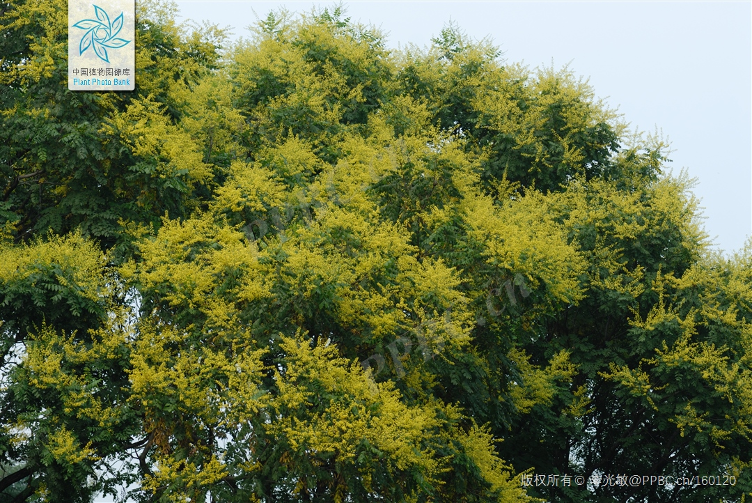 每天一分钟看世界!5月28日,农历 四月二十八星期六,历史上的今天和生活冷知识-1 每天一分钟看世界!5月28日,农历 四月二十八星期六,历史上的今天和生活冷知识-1