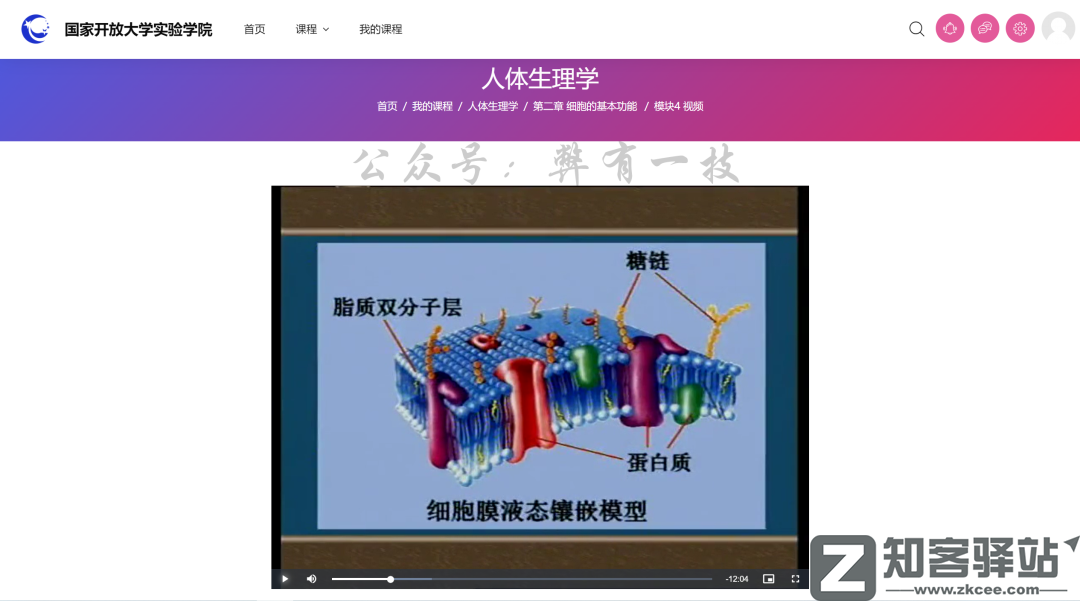 终身教育平台-13 终身教育平台-13