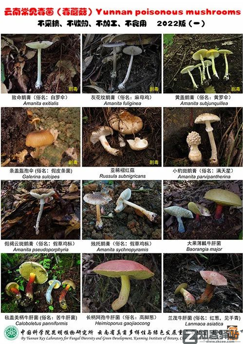 每天一分钟看世界！5月7日，农历 四月初七 星期六，历史上的今天和生活冷知识-2