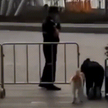 美女扮狗癖,年入600万,太恶臭了!-3 美女扮狗癖,年入600万,太恶臭了!-3