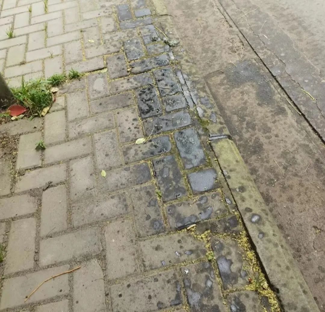 每天一分钟看世界!5月28日,农历 四月二十八星期六,历史上的今天和生活冷知识-2 每天一分钟看世界!5月28日,农历 四月二十八星期六,历史上的今天和生活冷知识-2