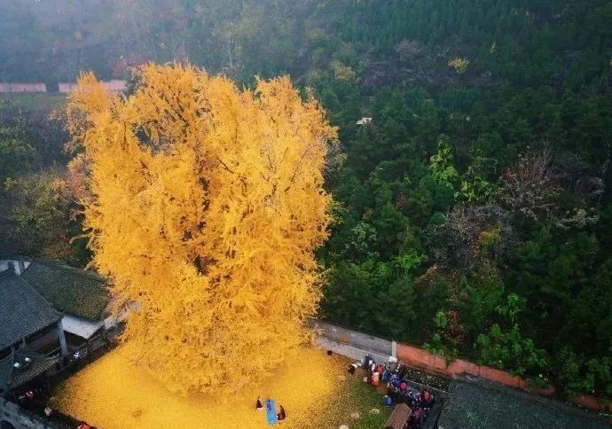 每天一分钟看世界！5月27日，农历 四月二十七星期五，历史上的今天和生活冷知识-1
