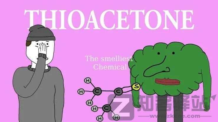 每天一分钟看世界！5月21日，农历 四月二十一星期六，历史上的今天和生活冷知识-2