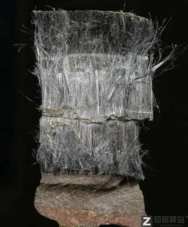 每天一分钟看世界！5月20日，农历 四月二十星期五，历史上的今天和生活冷知识-3