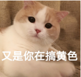 那个“快播”,彻底没了。。。-8 那个“快播”,彻底没了。。。-8