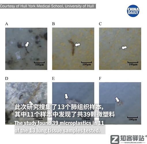 每天一分钟看世界！5月12日，农历 四月十二星期四，历史上的今天和生活冷知识-3