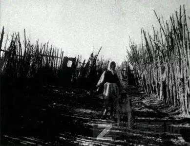 那些恐怖照片背后的故事，现实永远比故事更加荒诞...-2