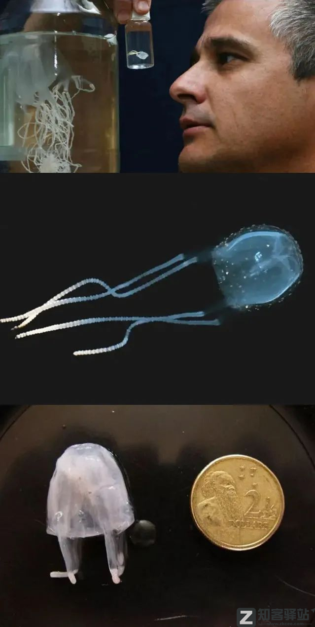 每天一分钟看世界！5月17日，农历 四月十七星期二，历史上的今天和生活冷知识-1