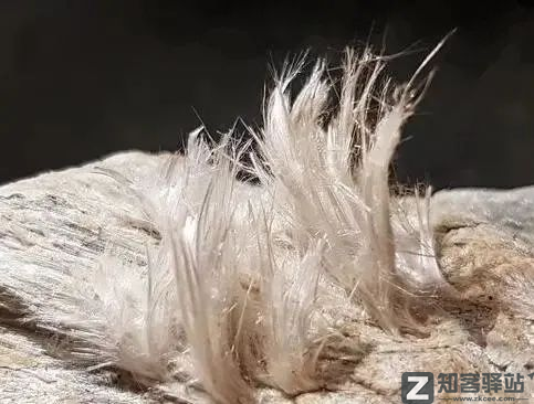 每天一分钟看世界！5月20日，农历 四月二十星期五，历史上的今天和生活冷知识-2