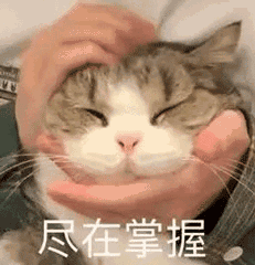 被差评轰炸后，这国产游戏“大砍”女角色胸围！-5