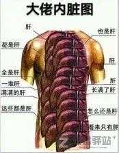 完全免费还免安装的PS替代品来了，背后的作者简直逆天！-4